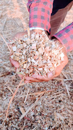 Kadbakutti Animal Feed. (Jwari kutti)