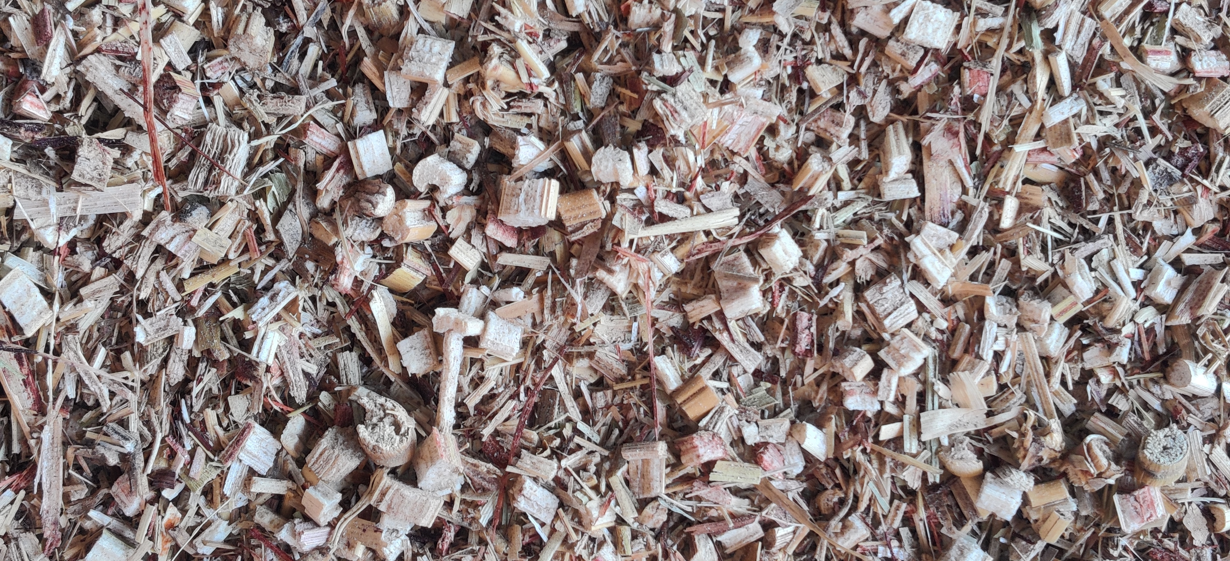 Kadbakutti Animal Feed. (Jwari kutti)