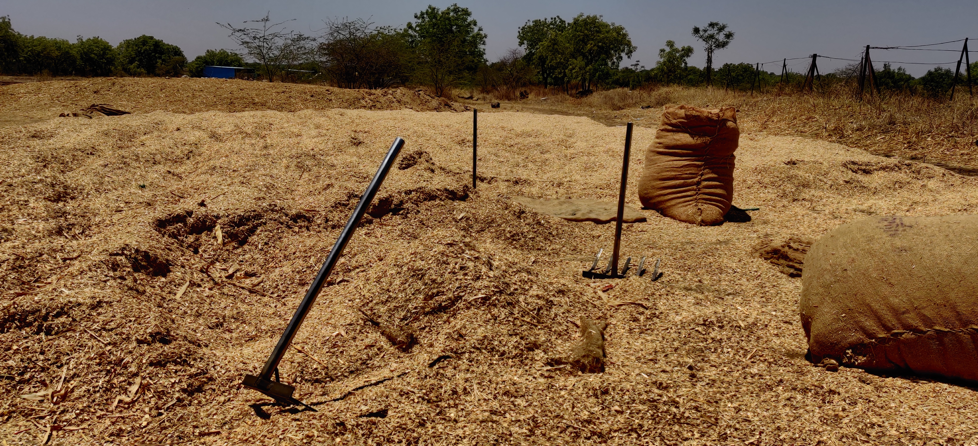 Kadbakutti Animal Feed. (Jwari kutti)