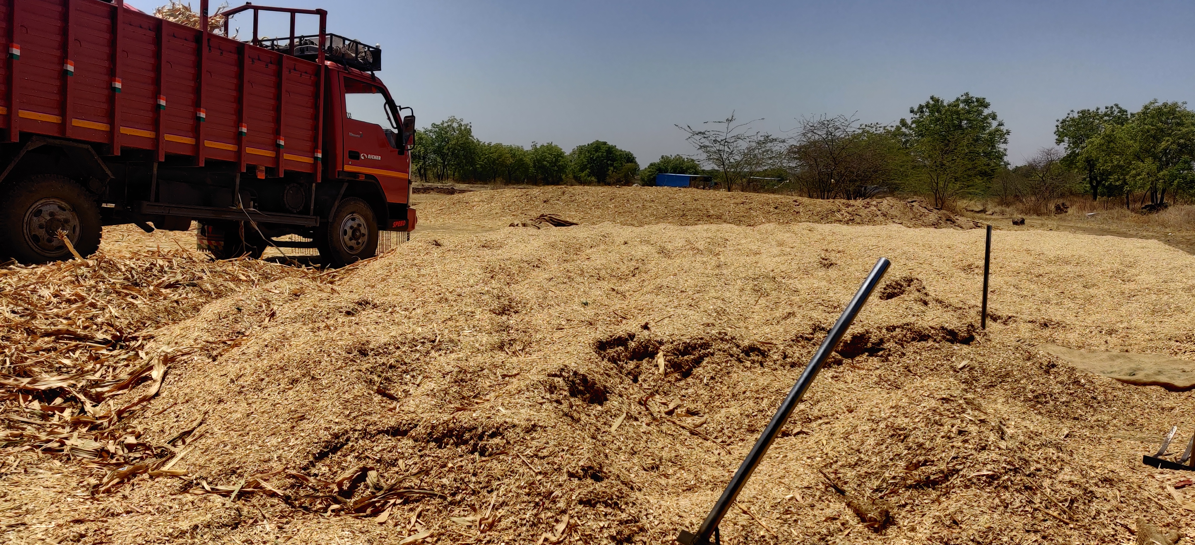 Kadbakutti Animal Feed. (Jwari kutti)