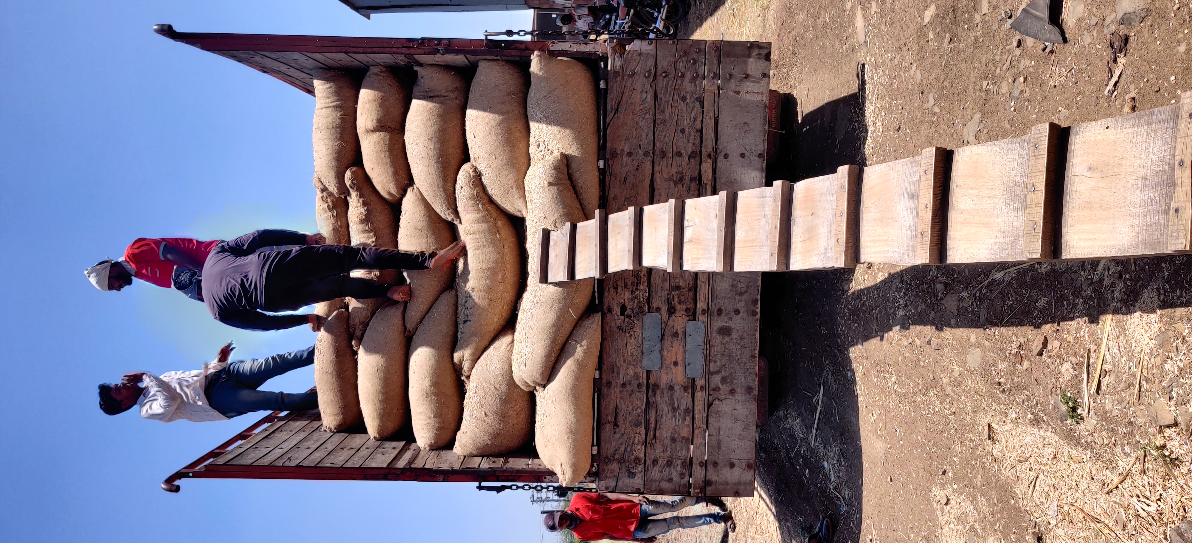 Kadbakutti Animal Feed. (Jwari kutti)