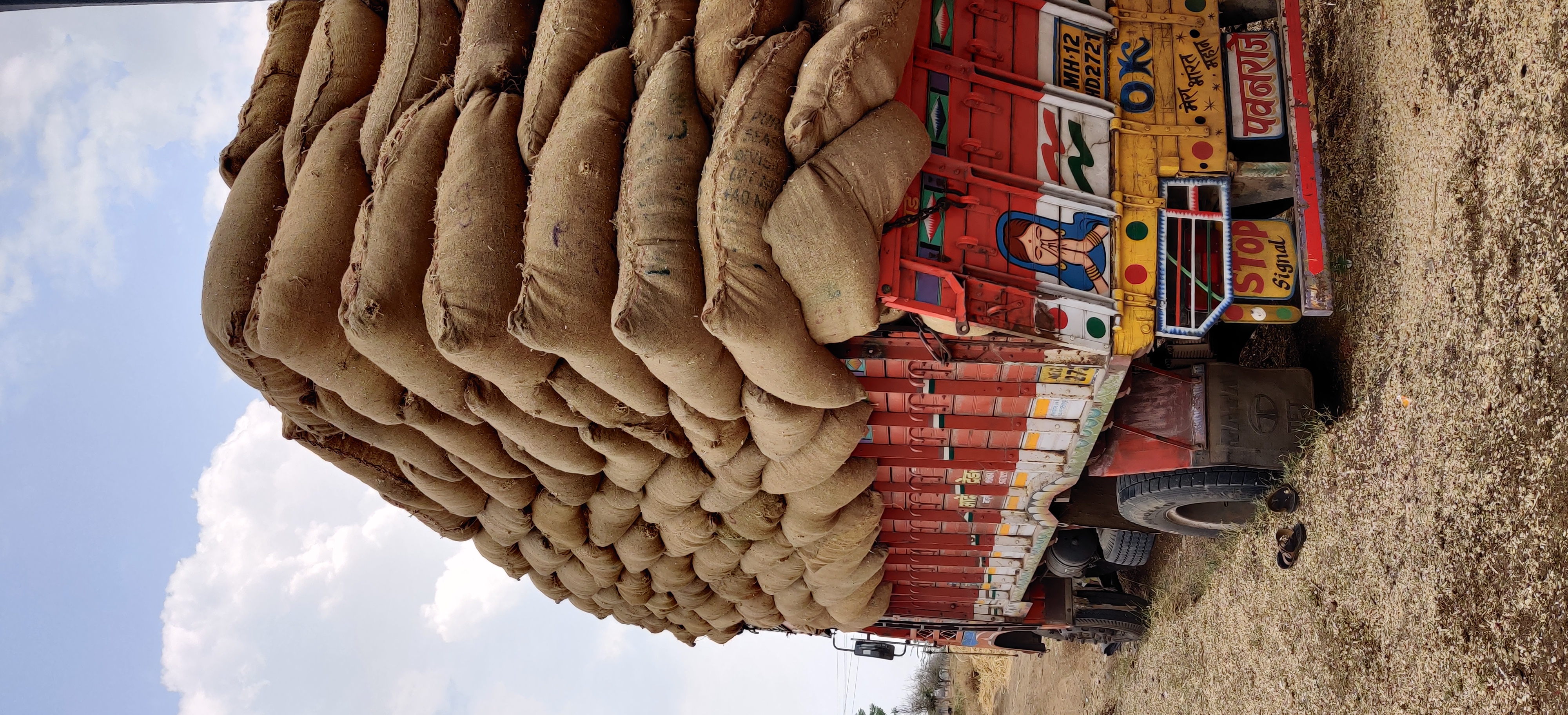 Kadbakutti Animal Feed. (Jwari kutti)