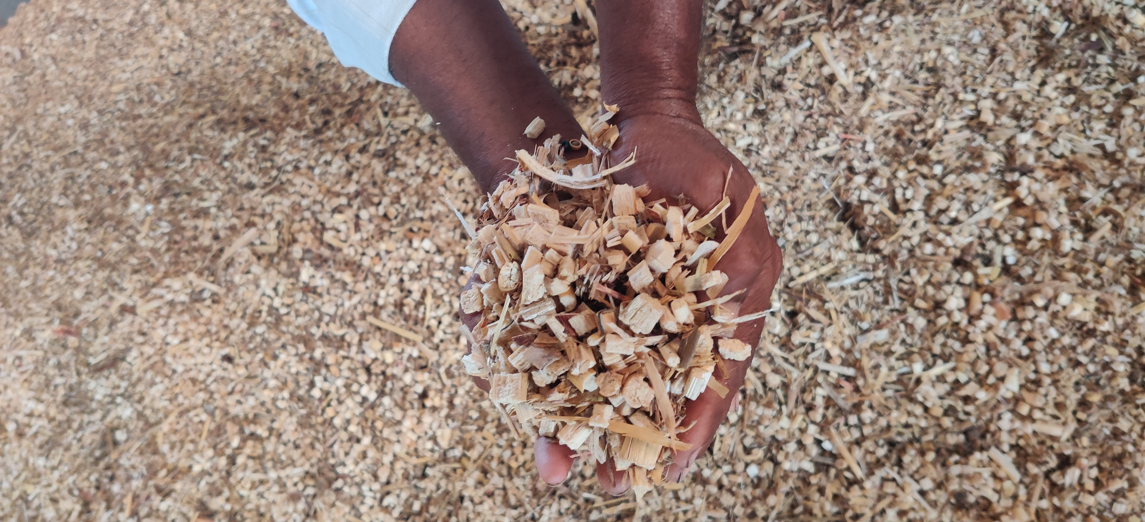 Kadbakutti Animal Feed. (Jwari kutti)