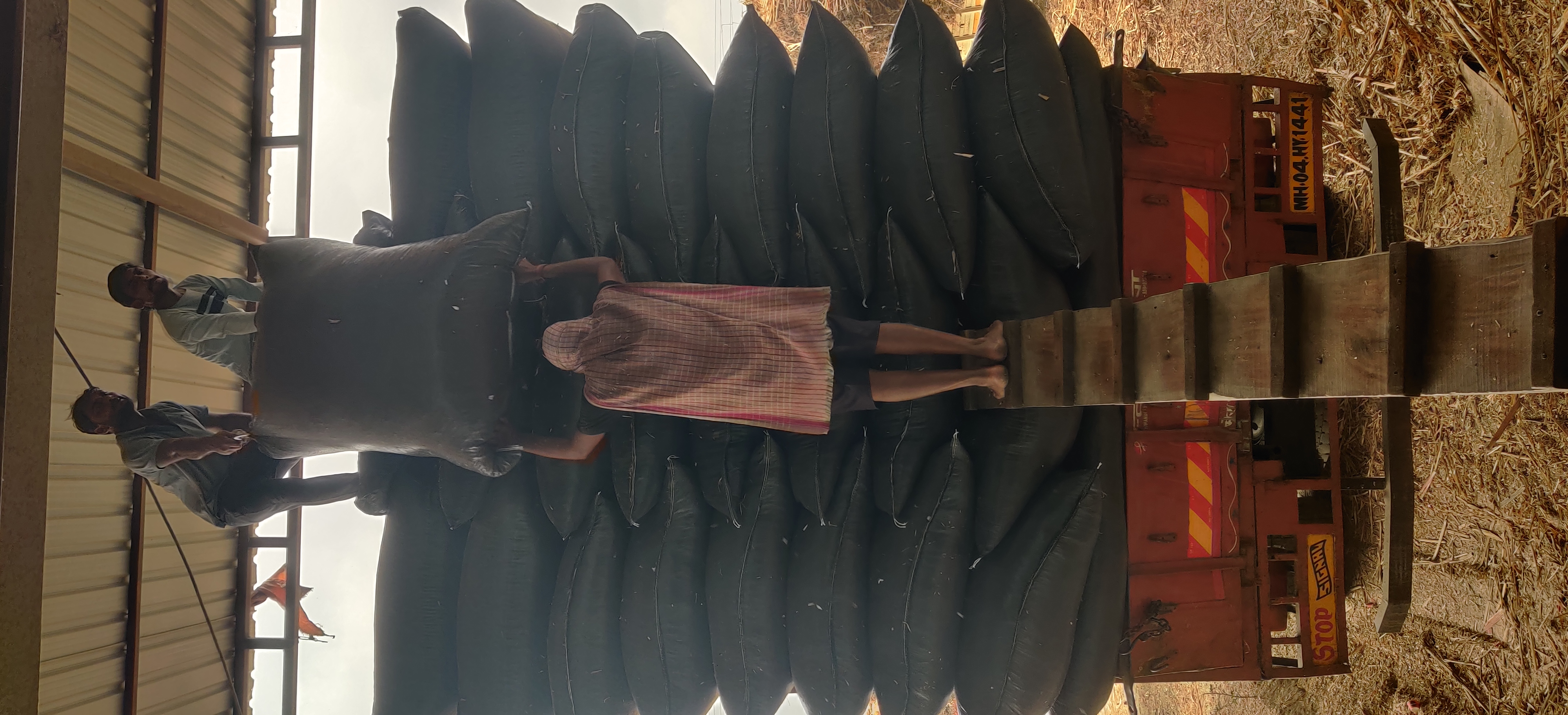 Kadbakutti Animal Feed. (Jwari kutti)