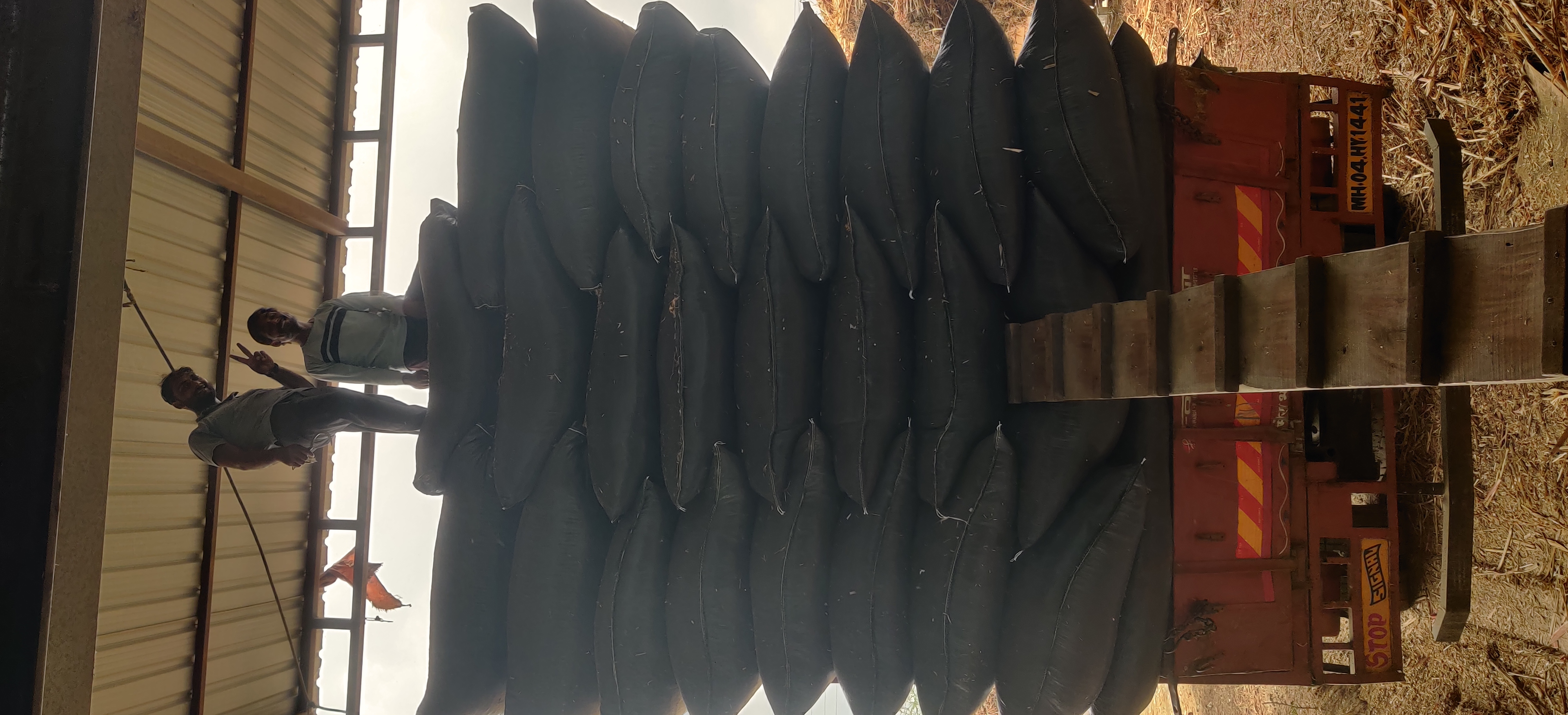 Kadbakutti Animal Feed. (Jwari kutti)