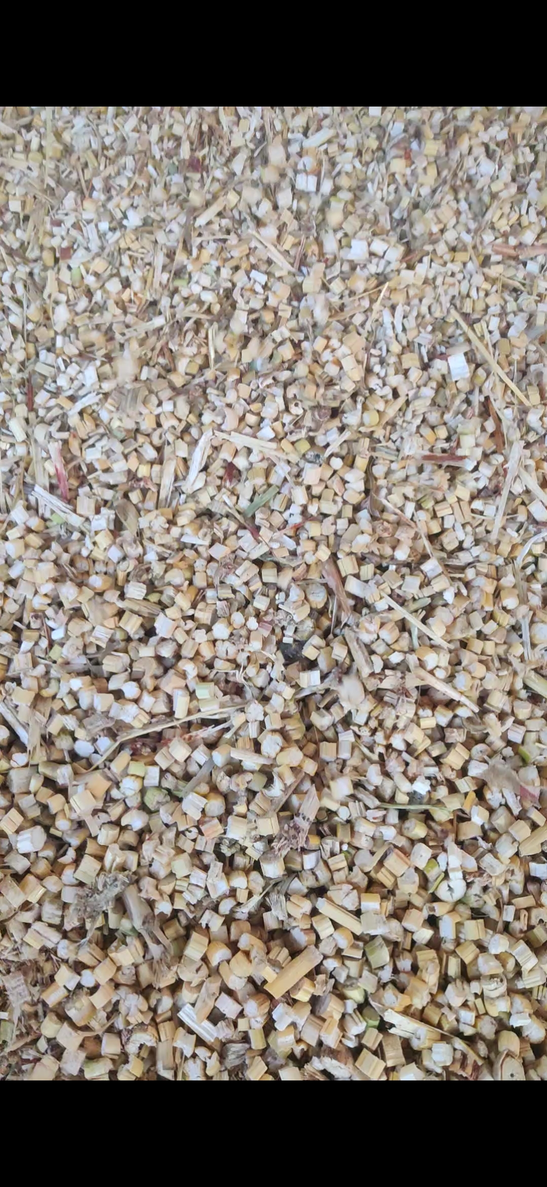 Kadbakutti Animal Feed. (Jwari kutti)