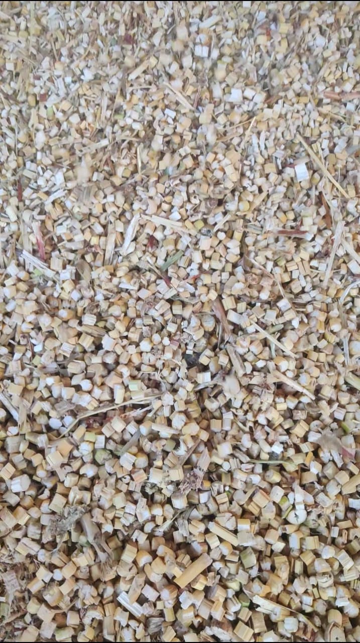 Kadbakutti Animal Feed. (Jwari kutti)