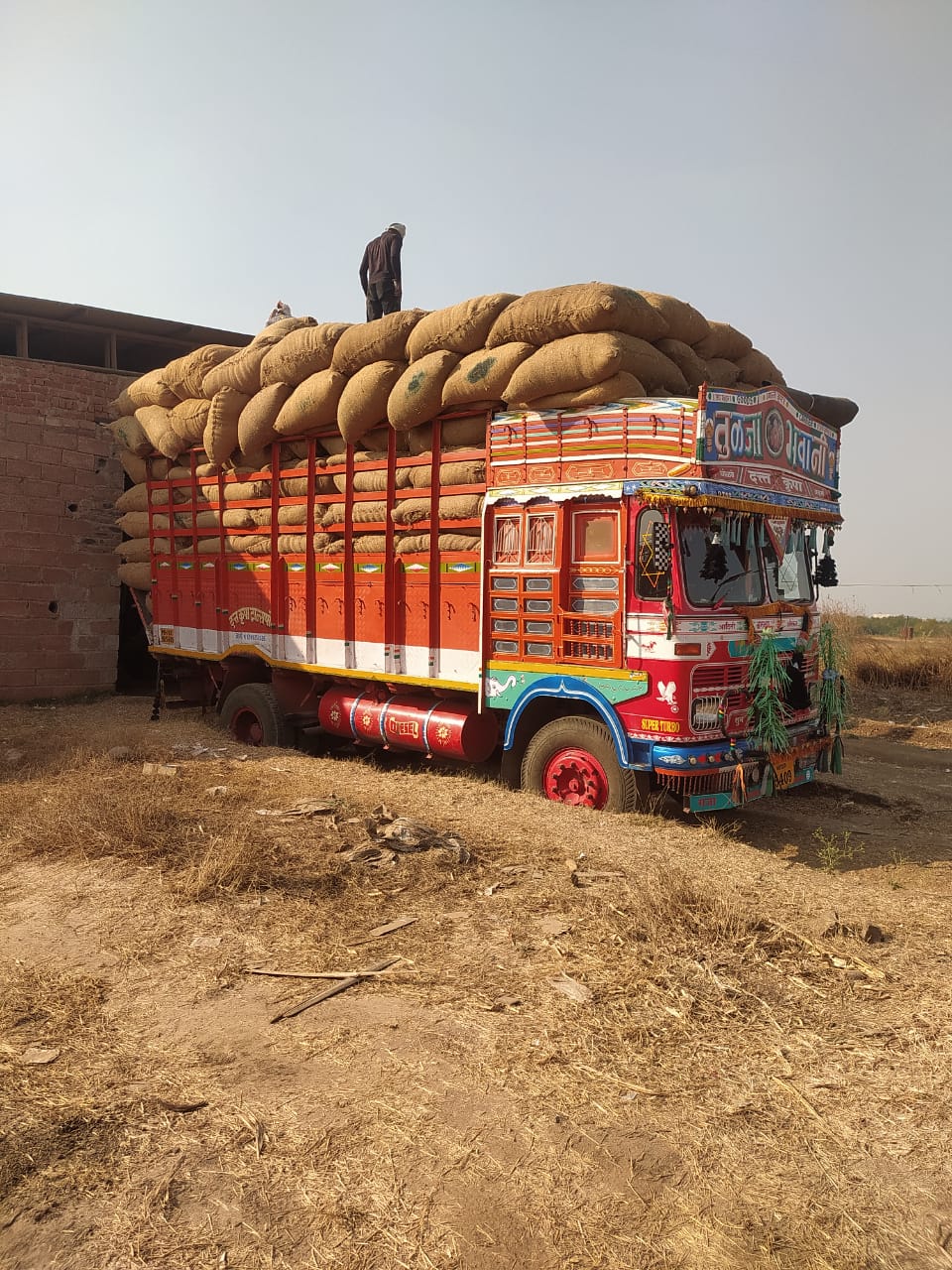 Kadbakutti Animal Feed. (Jwari kutti)