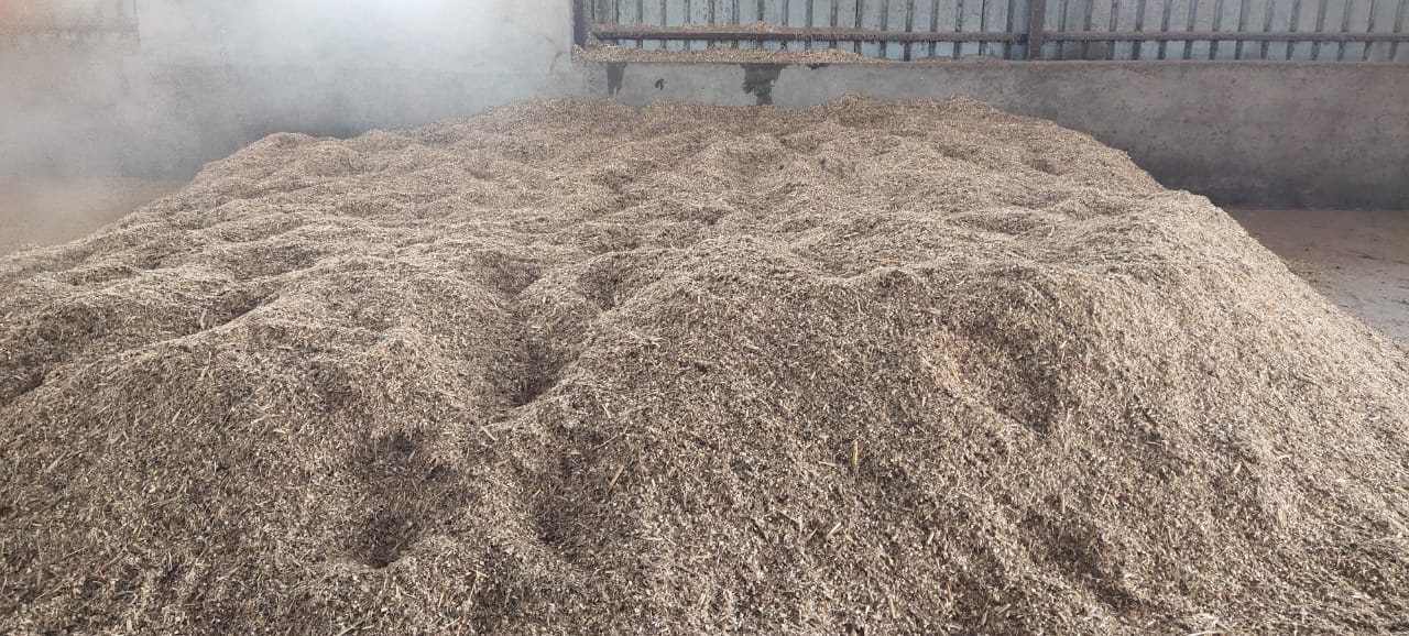 Kadbakutti Animal Feed. (Jwari kutti)